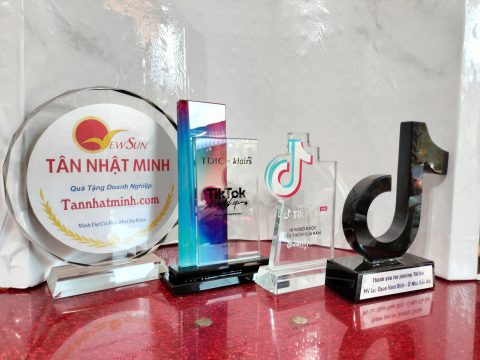 Sản xuất kỷ niệm chương, cho tiktok