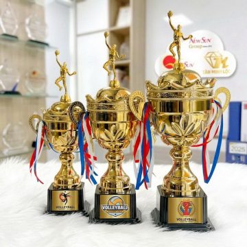 cup bong chuyen kim loai dep gia re