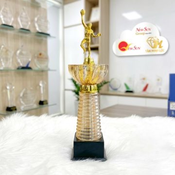 cup bong chuyen pha le vang dep