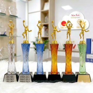cup bong ro, cup bong chuyen pha le dep gia re 2