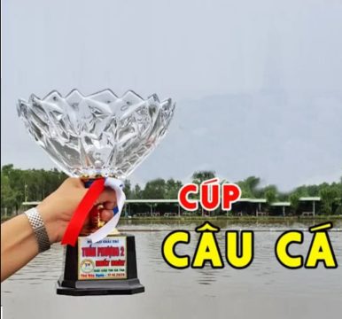 cup cau ca