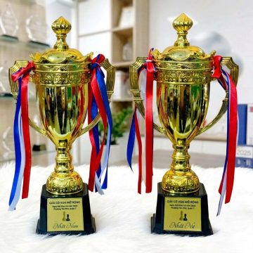 cup co vua mau cup nhua