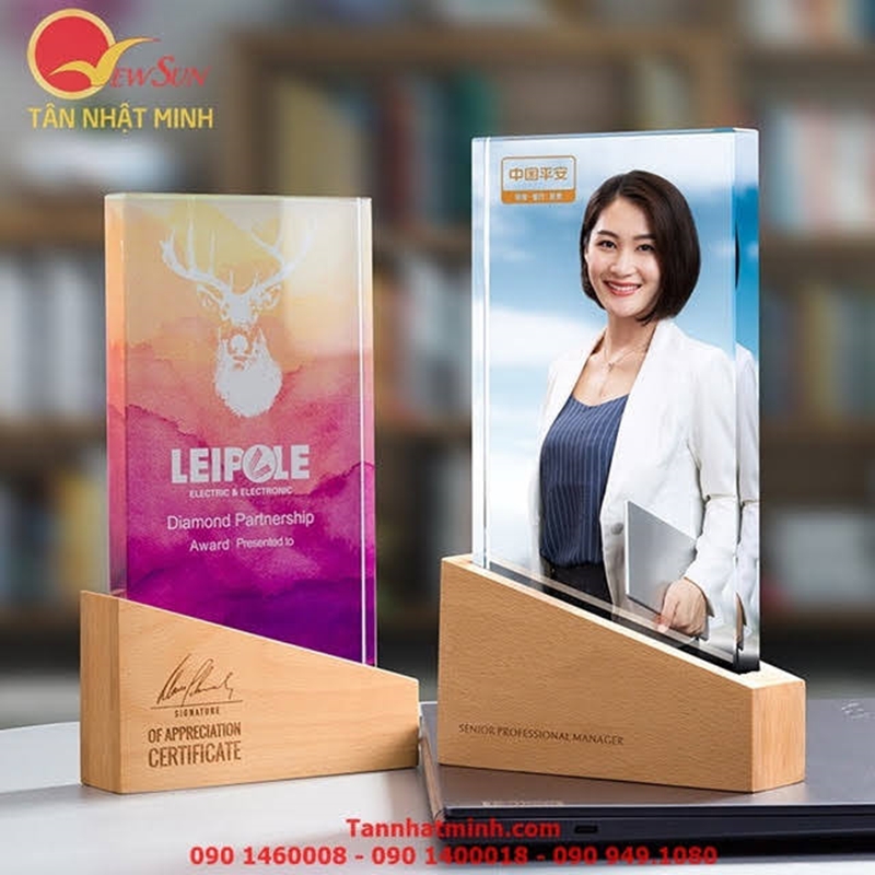 cúp vinh danh pha lê gỗ