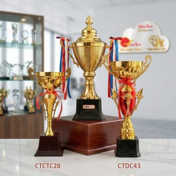 cup the thao dep