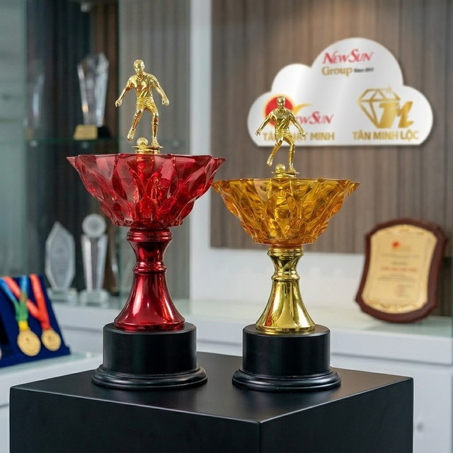 cup bong da dep
