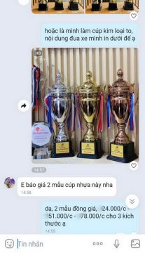 Tu Van mau Cup The Thao - Saigon Touris